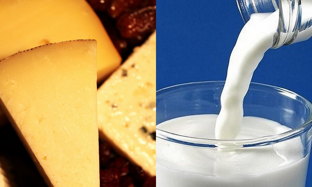 Leche y productos lácteos