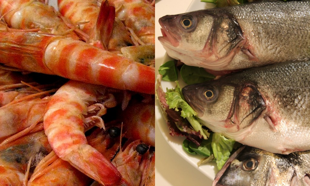 Pescados y derivados