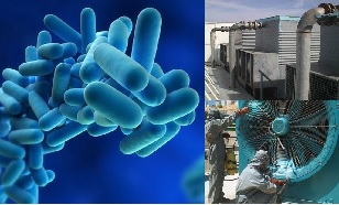 Legionella