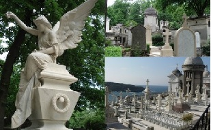 Policía Sanitaria Mortuoria