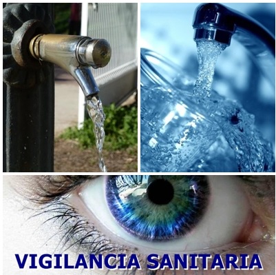 Competencias de la autoridad: Vigilancia sanitaria